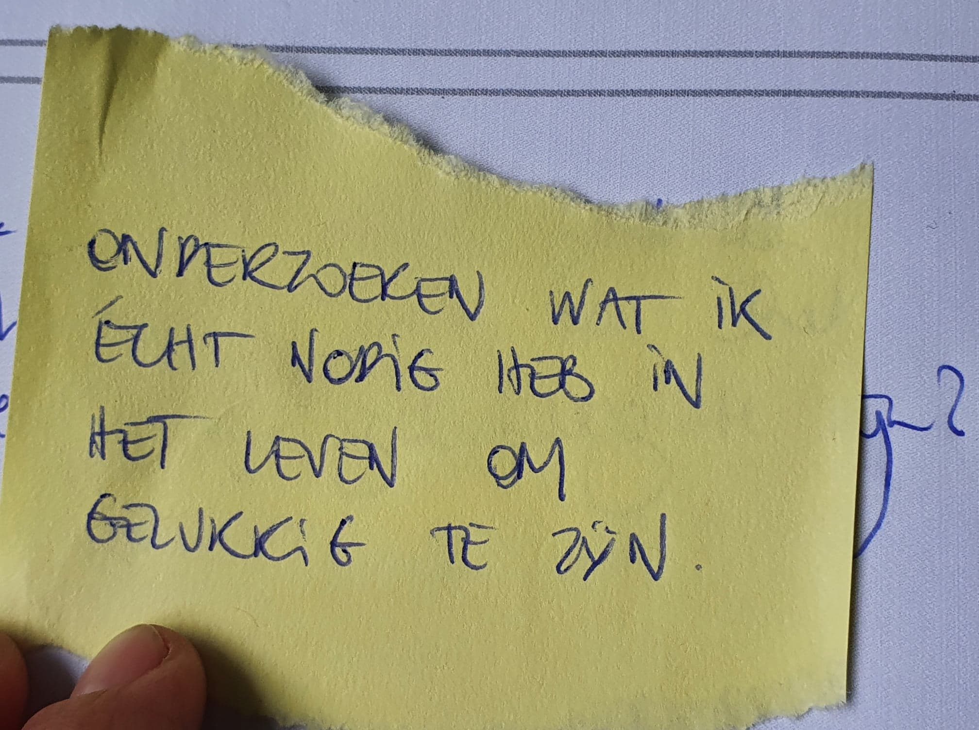 Omrijk-de-leemte