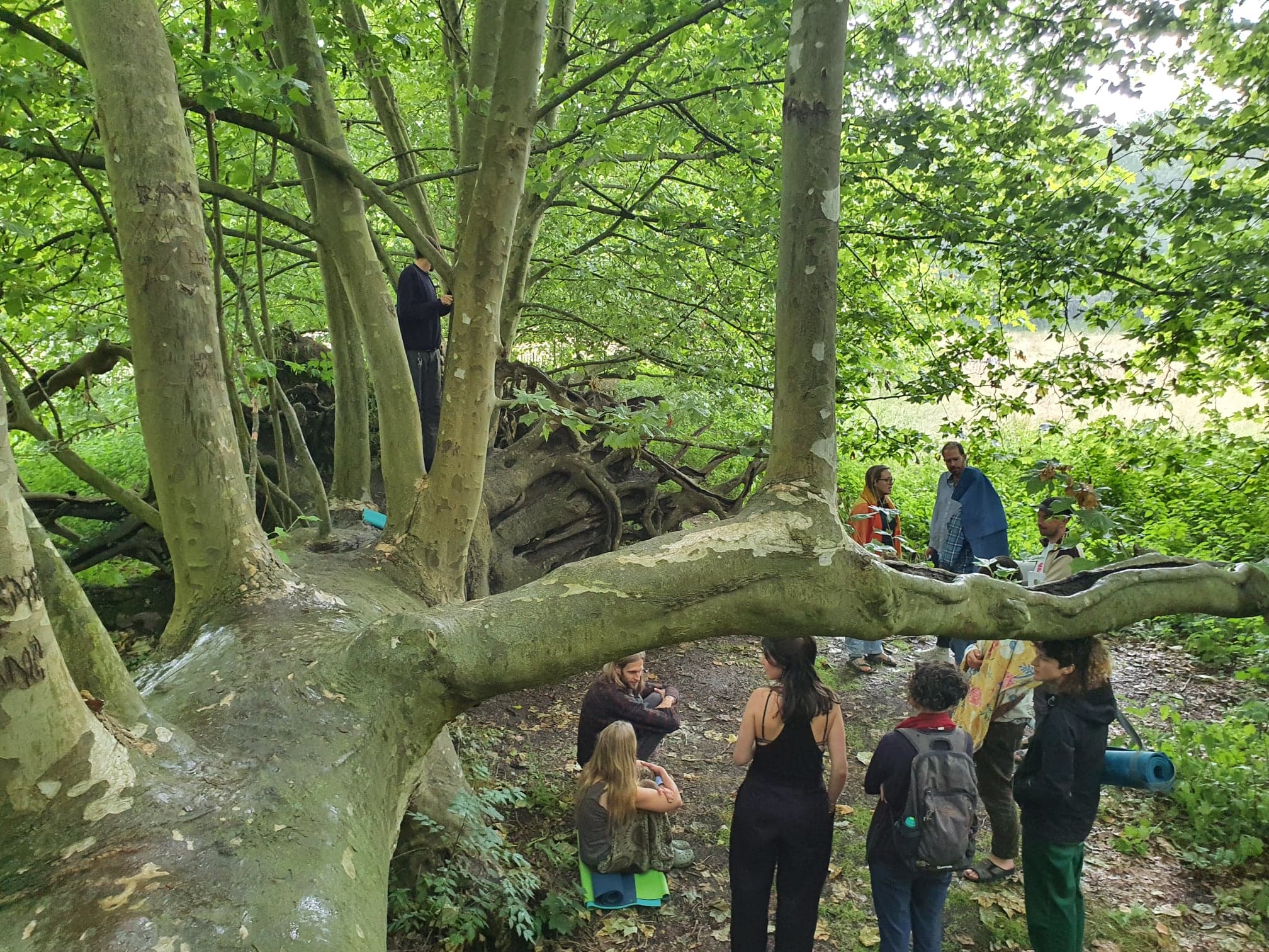 Omrijk-geraakt